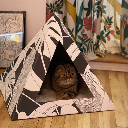 'Dark Paradise' Cardboard Cat Pyramid - Wild Things, Etc.