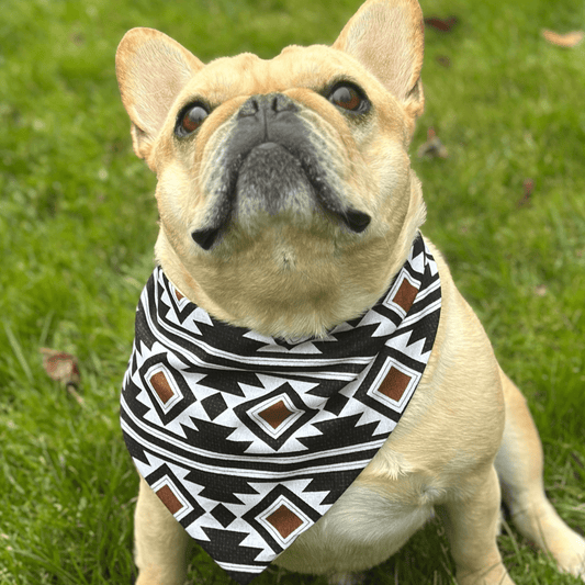 Southwest Dog Bandana - Wild Things, Etc.