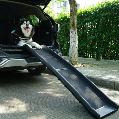 Compact Folding Pet Access Ramp - Black - Wild Things, Etc.