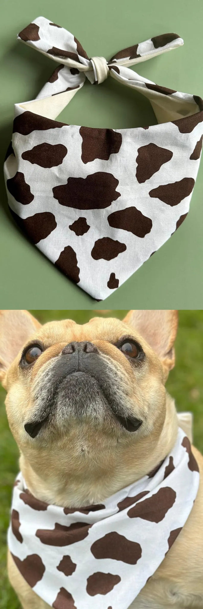 Cow Print Dog Bandana - Wild Things, Etc.
