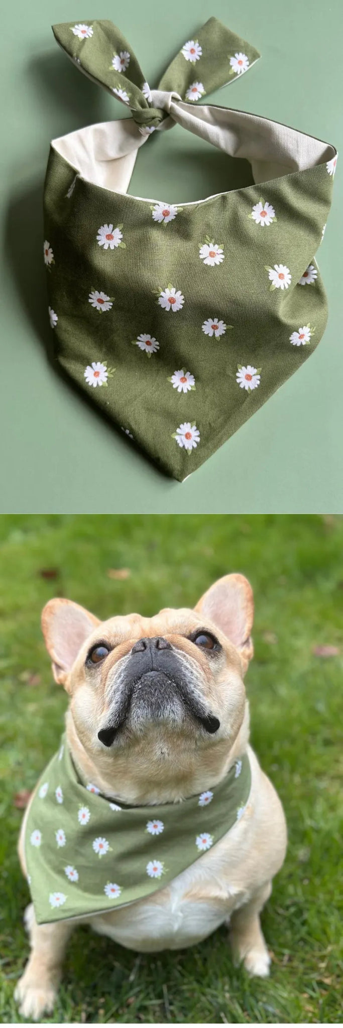 Daisy Dog Bandana - Wild Things, Etc.