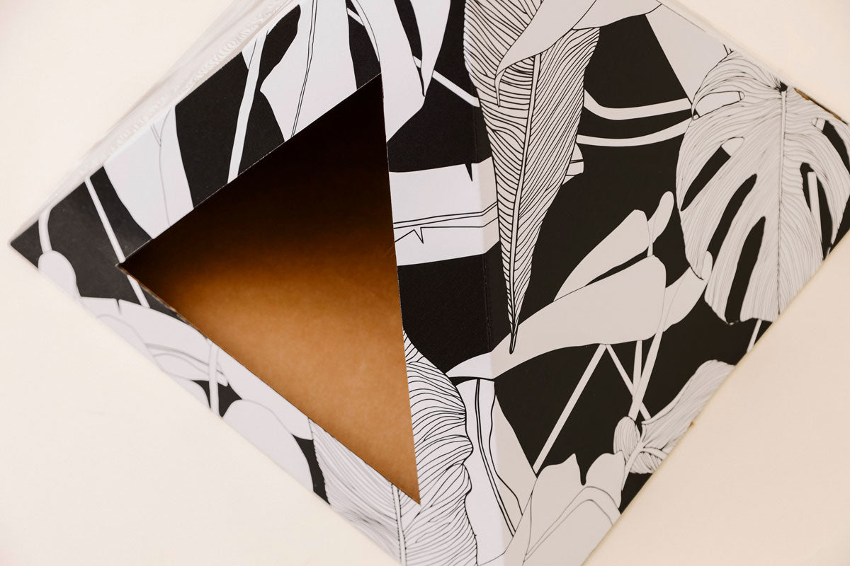 'Dark Paradise' Cardboard Cat Pyramid - Wild Things, Etc.