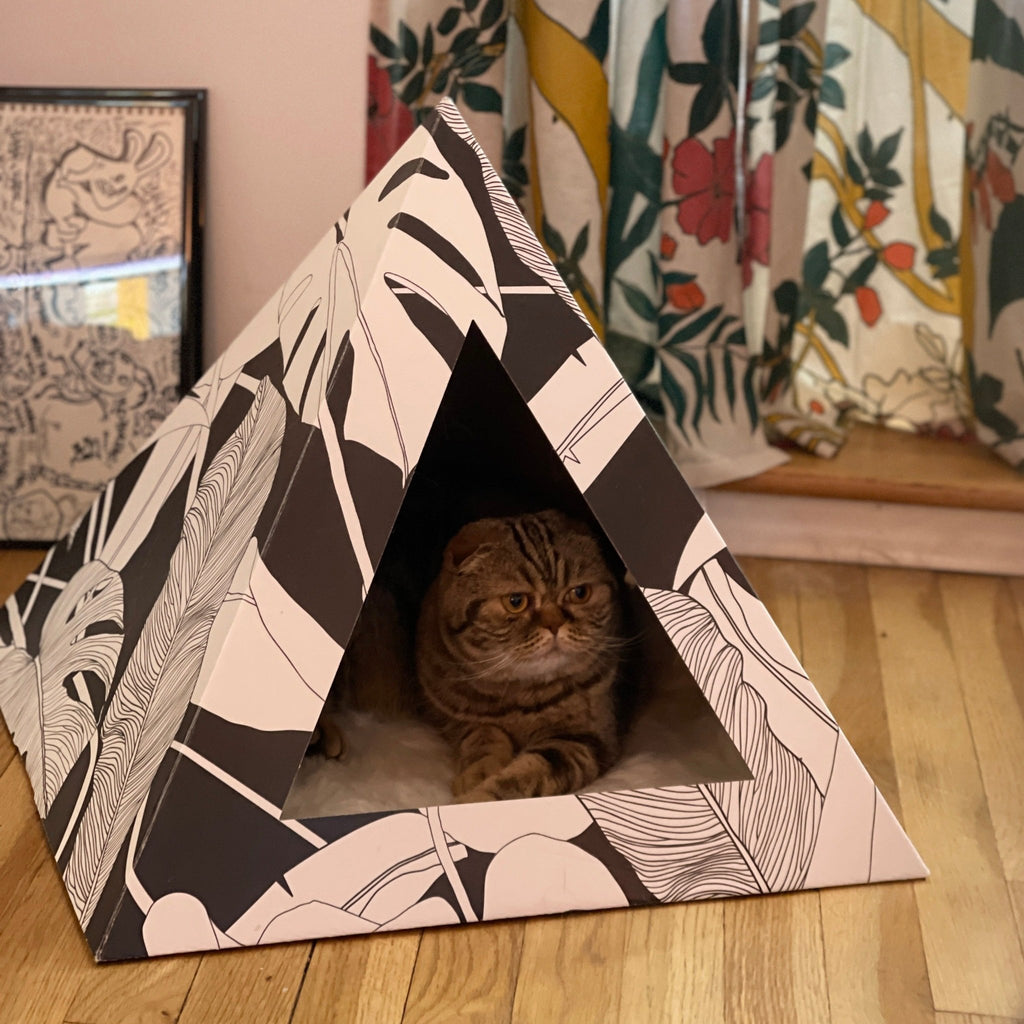'Dark Paradise' Cardboard Cat Pyramid - Wild Things, Etc.