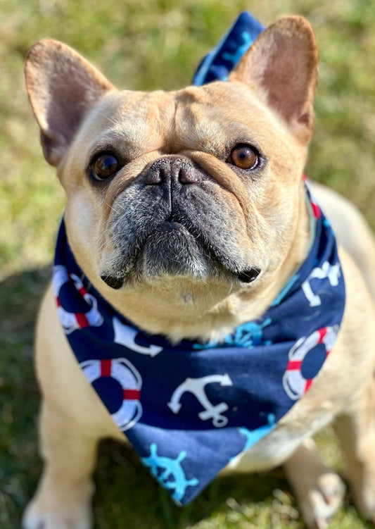 Nautical Dog Bandana New Arrivals - Wild Things, Etc.