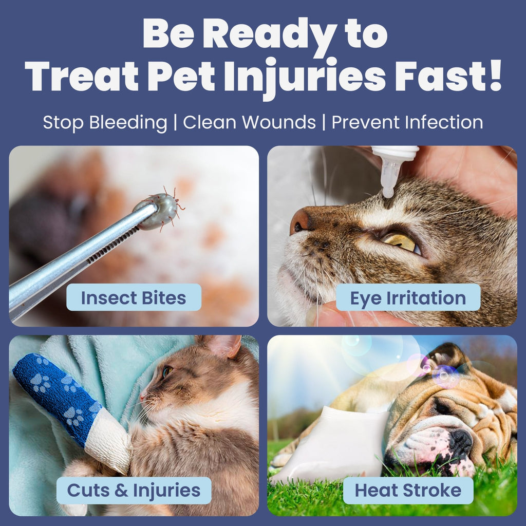 Pet First Aid Kit for Dogs & Cats with Vet - Approved Essentials - Wild Things, Etc.