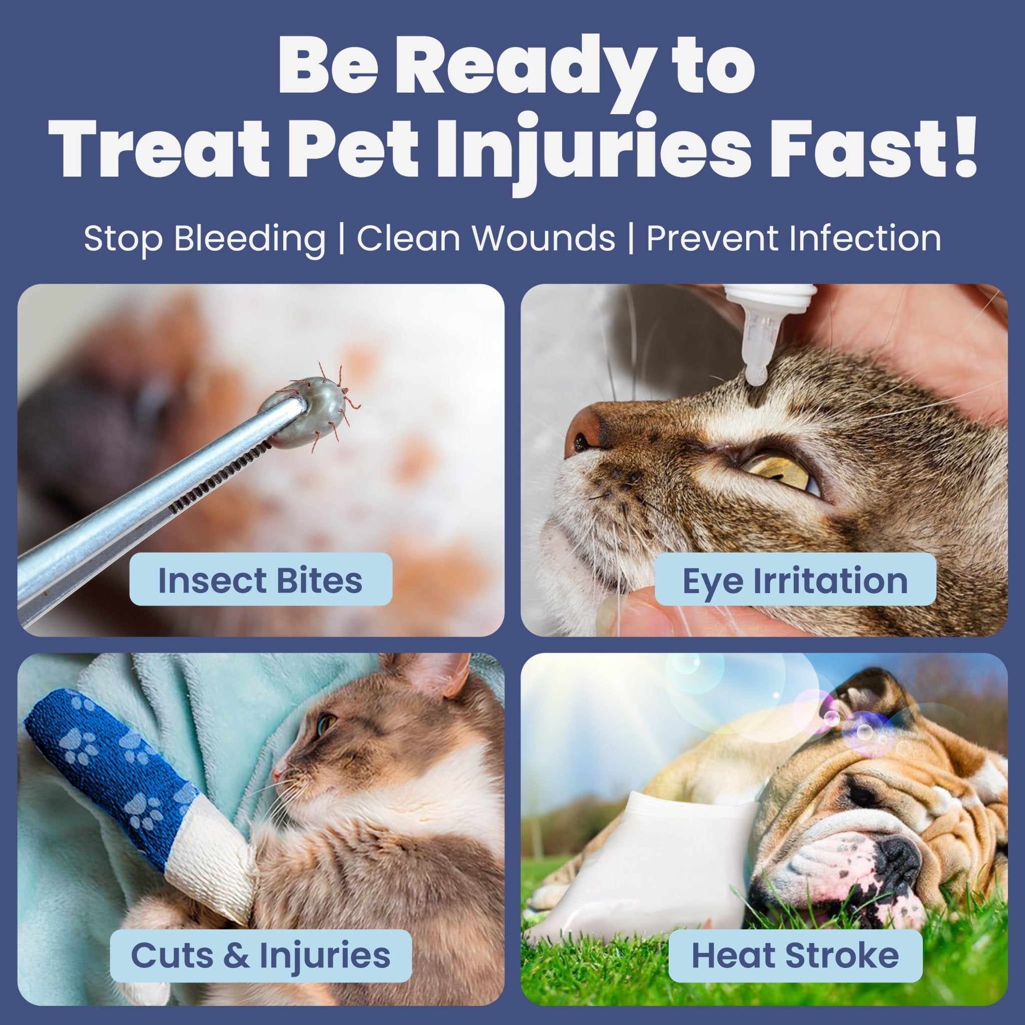 Pet First Aid Kit for Dogs & Cats with Vet - Approved Essentials - Wild Things, Etc.