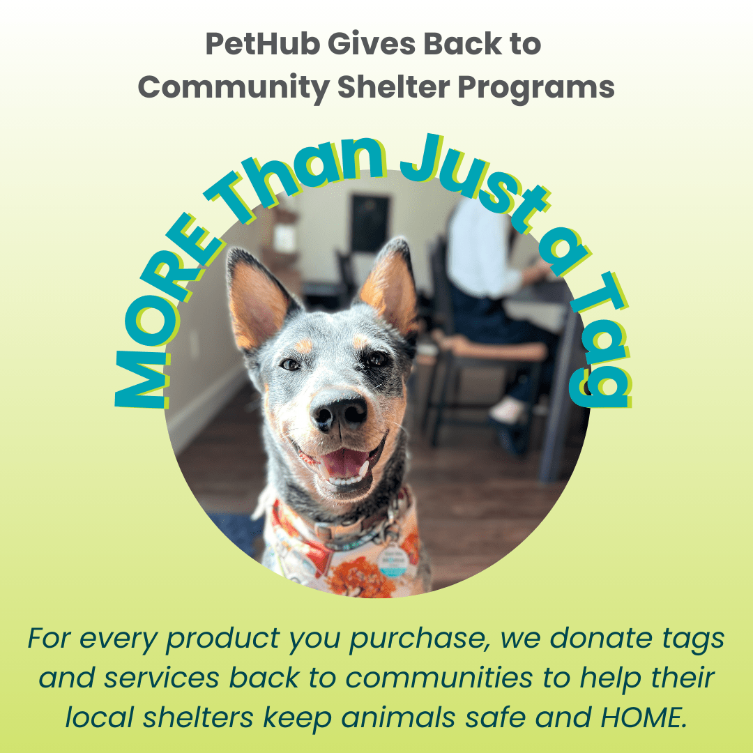 PetHub QR Pet ID Tag – Original Get Me Home Club - Wild Things, Etc.