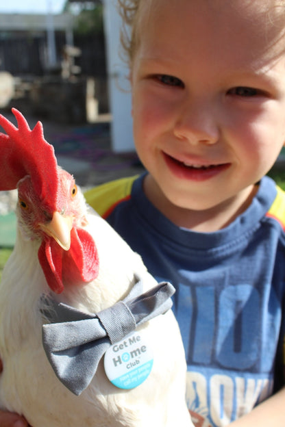 PetHub QR Pet ID Tag – Original Get Me Home Club - Wild Things, Etc.