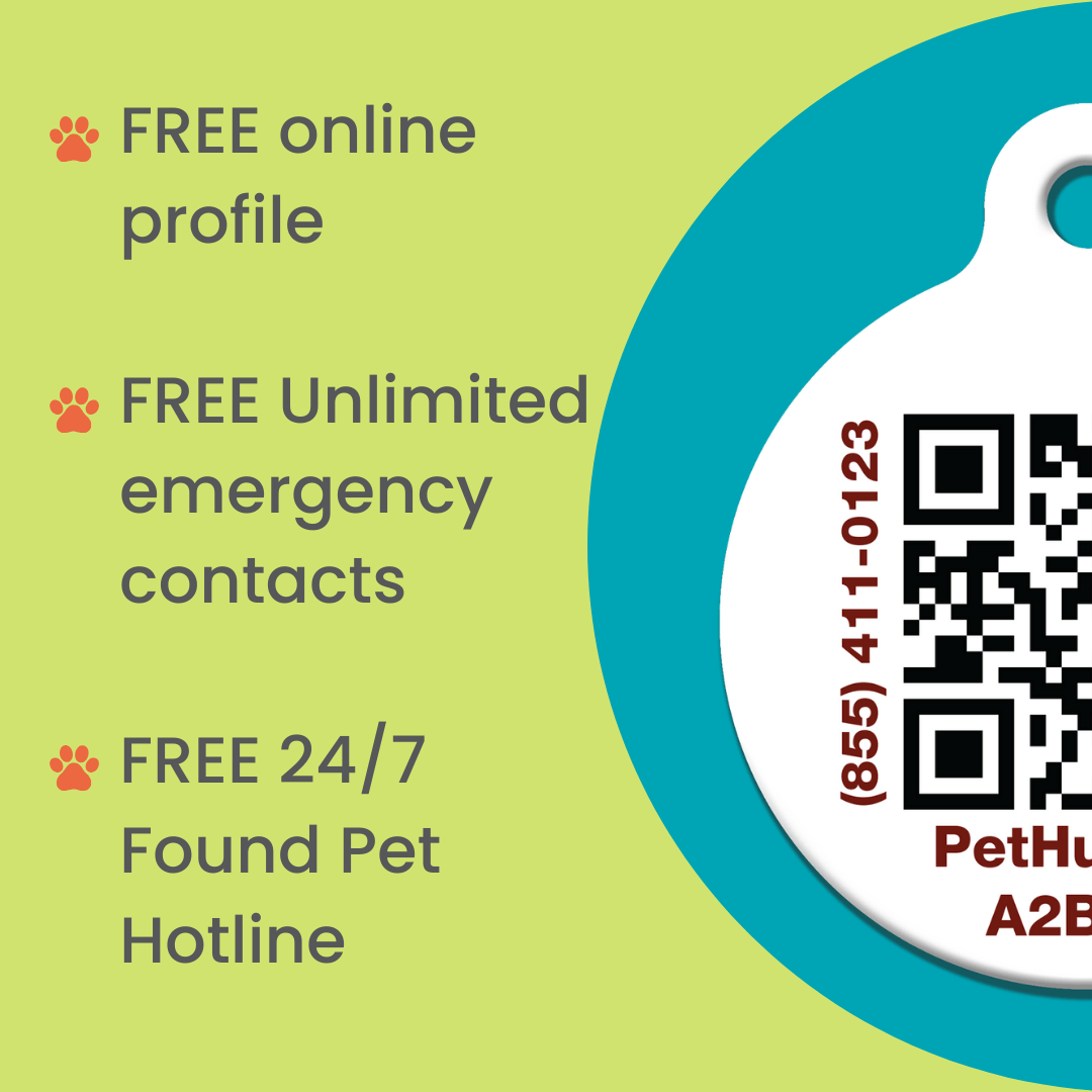 PetHub QR Pet ID Tag – Original Get Me Home Club - Wild Things, Etc.