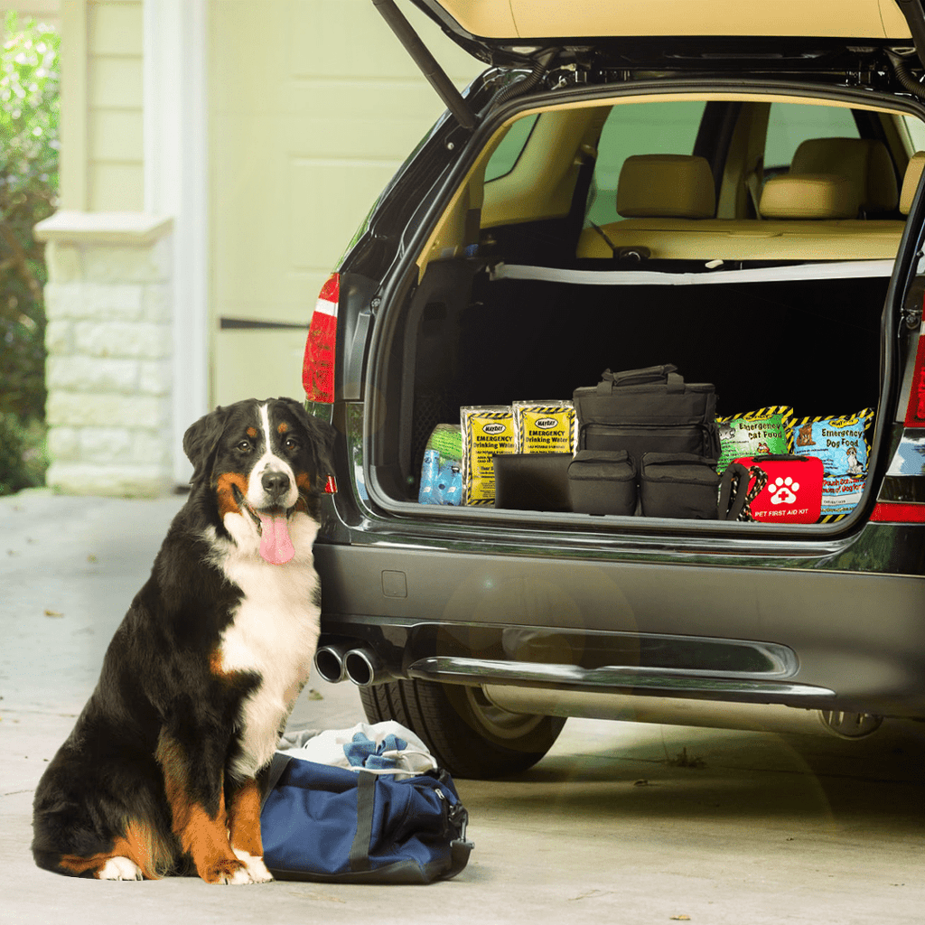 The Safe Pet Kit: Must - Have Pet Kit for Disaster Situations - Wild Things, Etc.