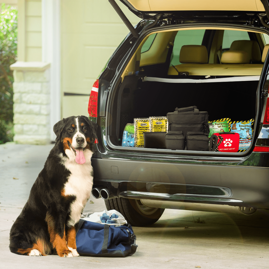 The Safe Pet Kit: Must - Have Pet Kit for Disaster Situations - Wild Things, Etc.