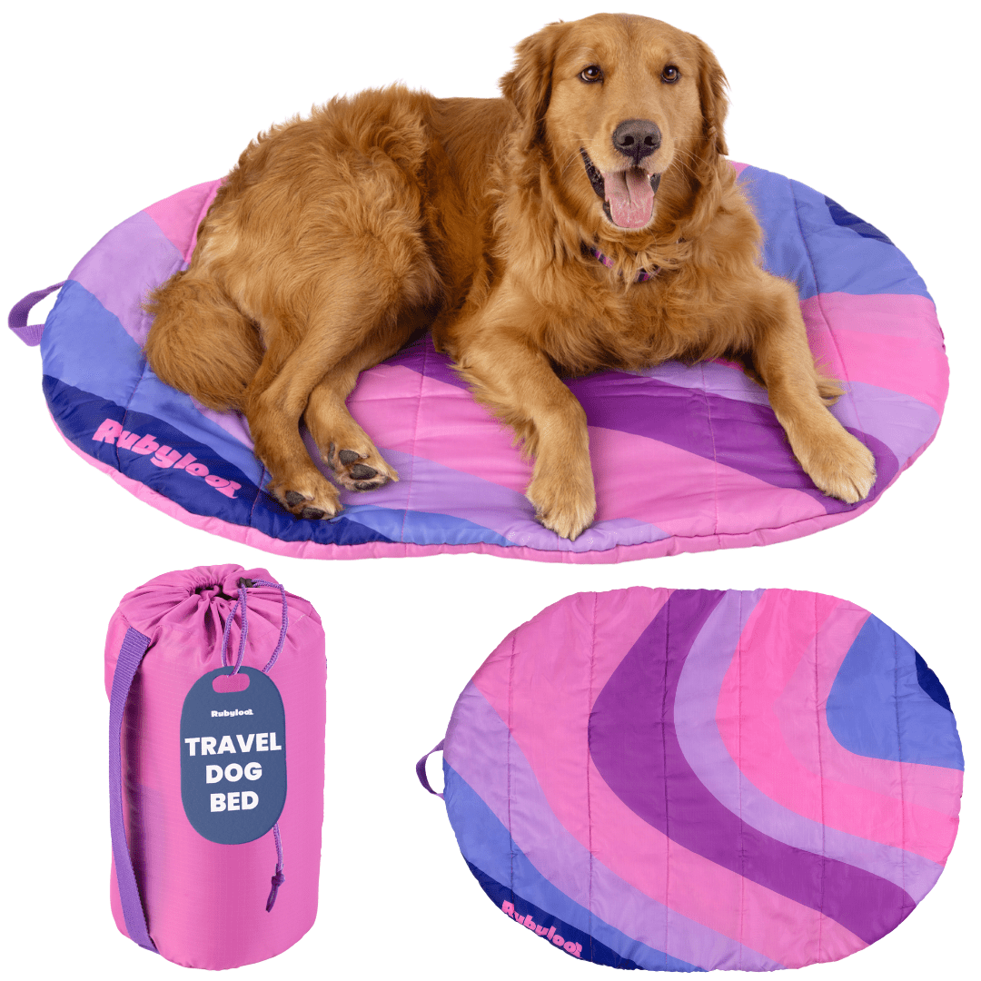 Travel Dog Bed – Foldable, Lightweight, Water Resistant Mat - Wild Things, Etc.