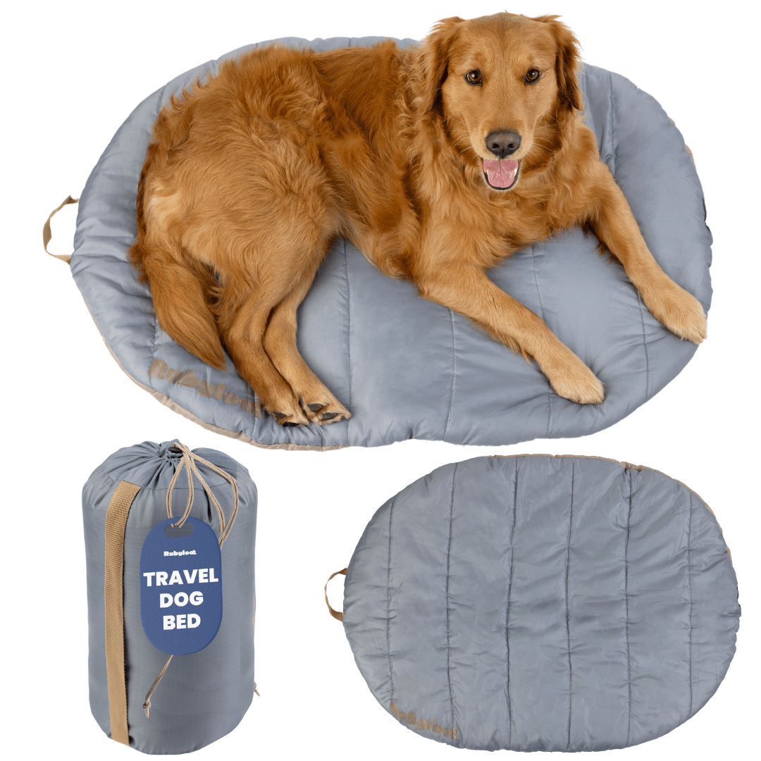 Travel Dog Bed – Foldable, Lightweight, Water Resistant Mat - Wild Things, Etc.