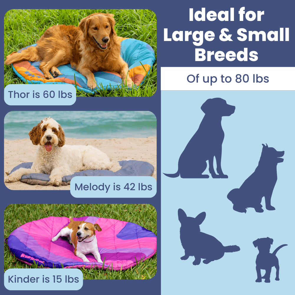Travel Dog Bed – Foldable, Lightweight, Water Resistant Mat - Wild Things, Etc.