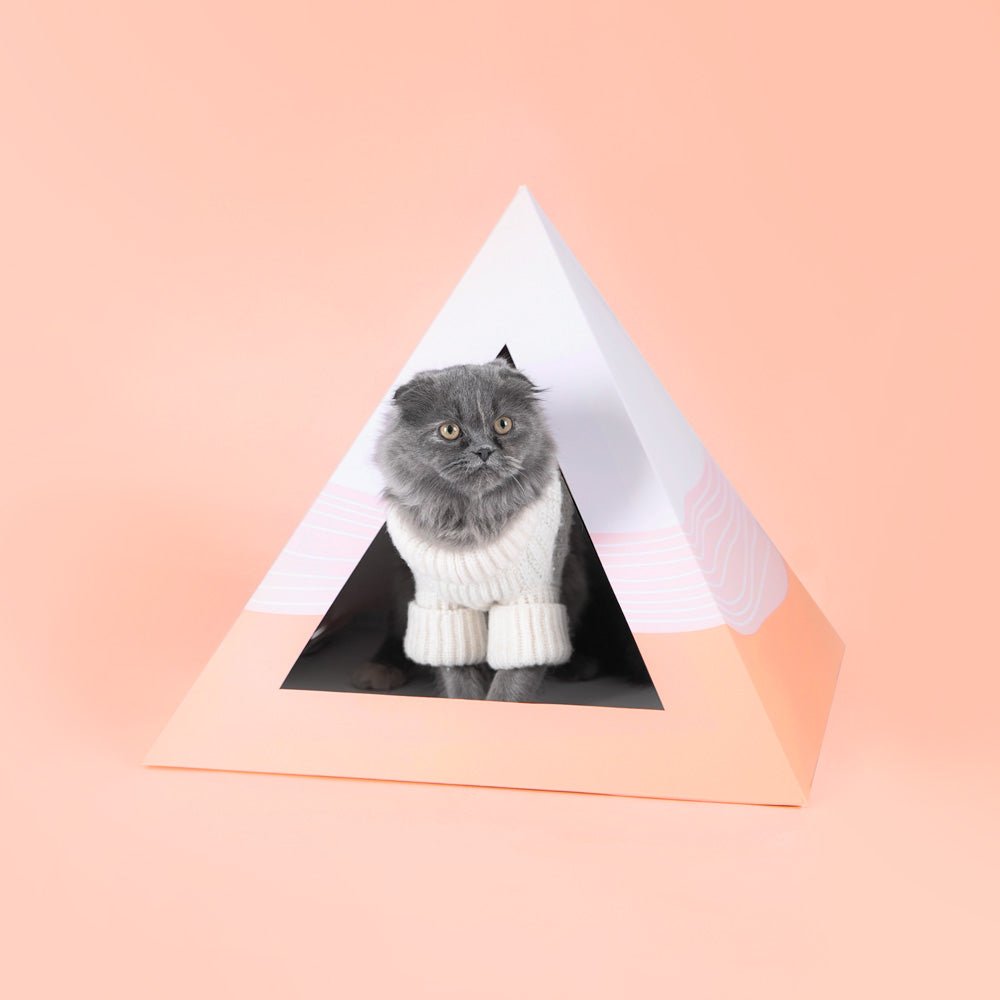 'Wavey' Cardboard Cat Pyramid - Wild Things, Etc.