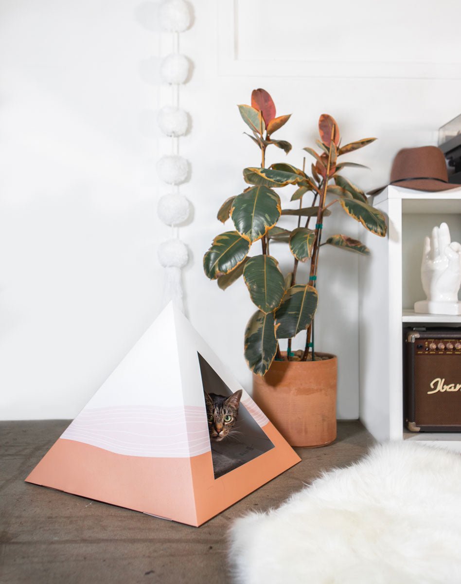 'Wavey' Cardboard Cat Pyramid - Wild Things, Etc.