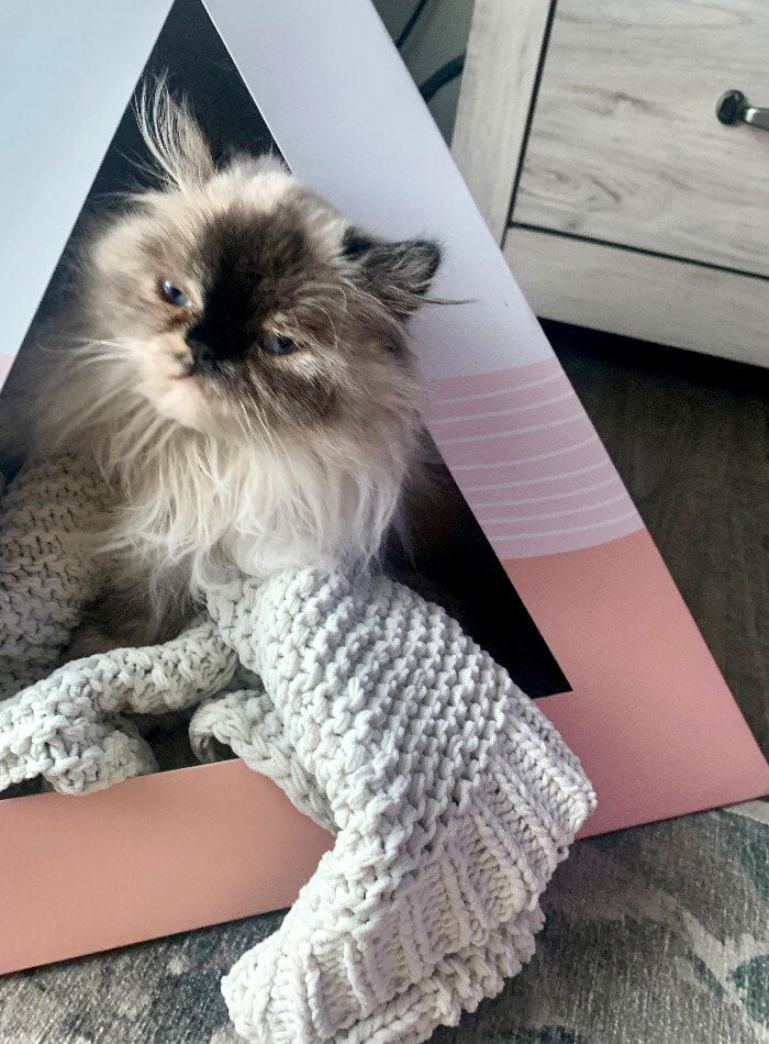 'Wavey' Cardboard Cat Pyramid - Wild Things, Etc.